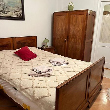Emese Central Vintage Apartment Targu Mures Exterior photo