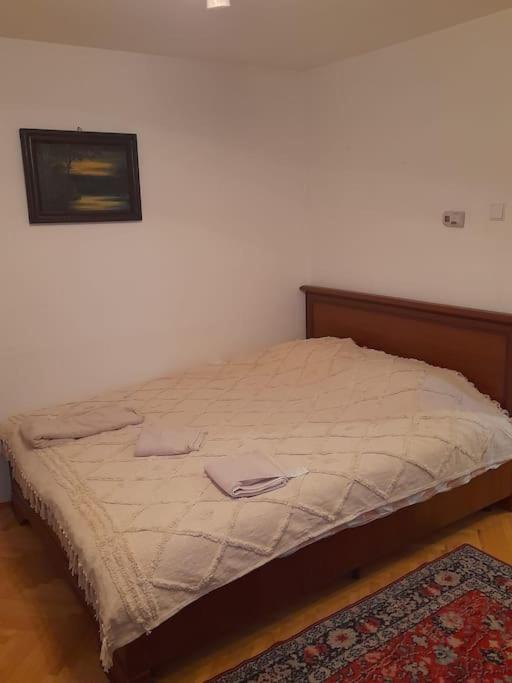 Emese Central Vintage Apartment Targu Mures Exterior photo