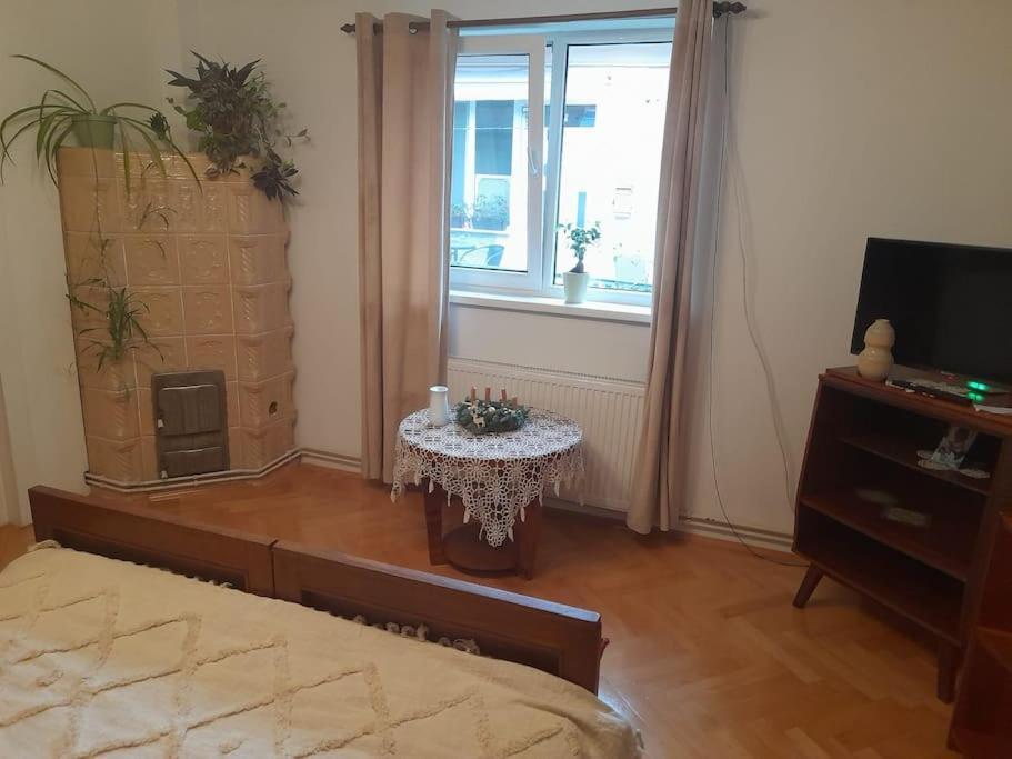Emese Central Vintage Apartment Targu Mures Exterior photo