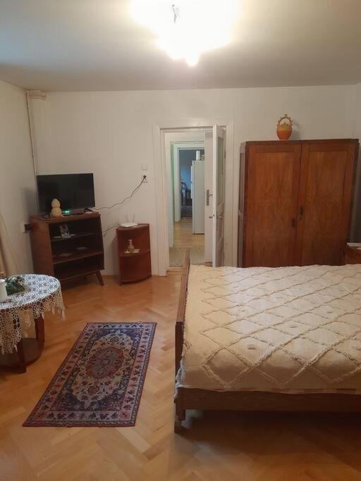 Emese Central Vintage Apartment Targu Mures Exterior photo