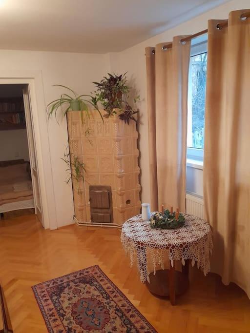 Emese Central Vintage Apartment Targu Mures Exterior photo