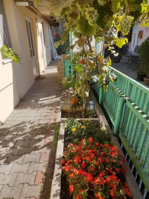 Emese Central Vintage Apartment Targu Mures Exterior photo