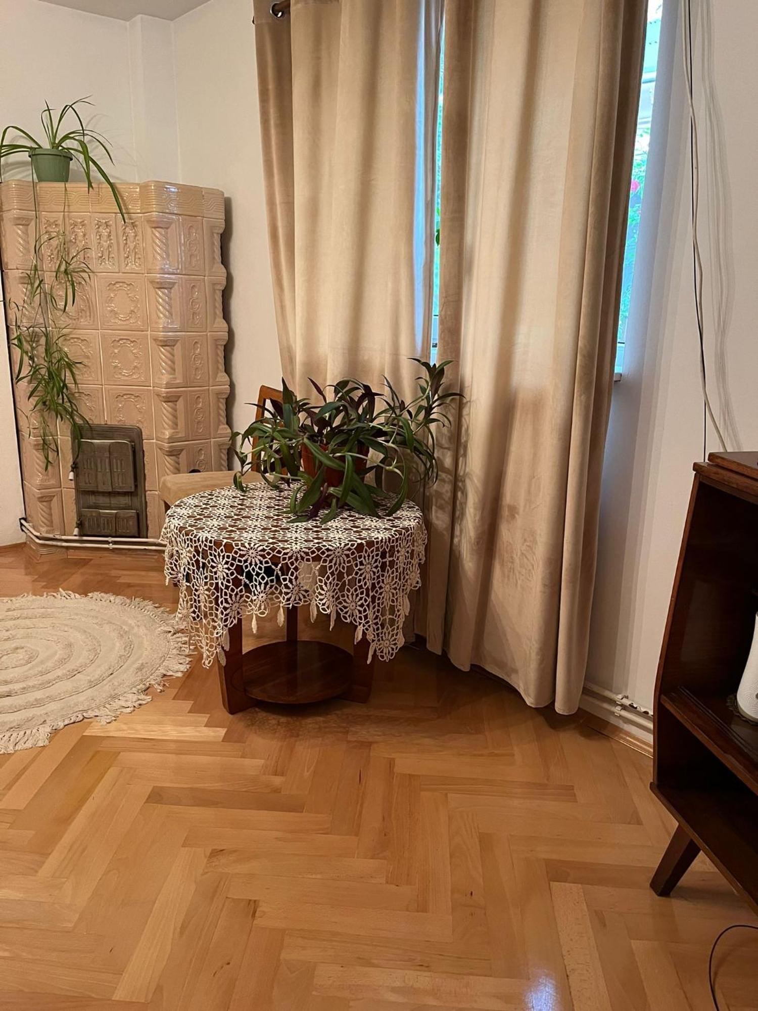 Emese Central Vintage Apartment Targu Mures Exterior photo