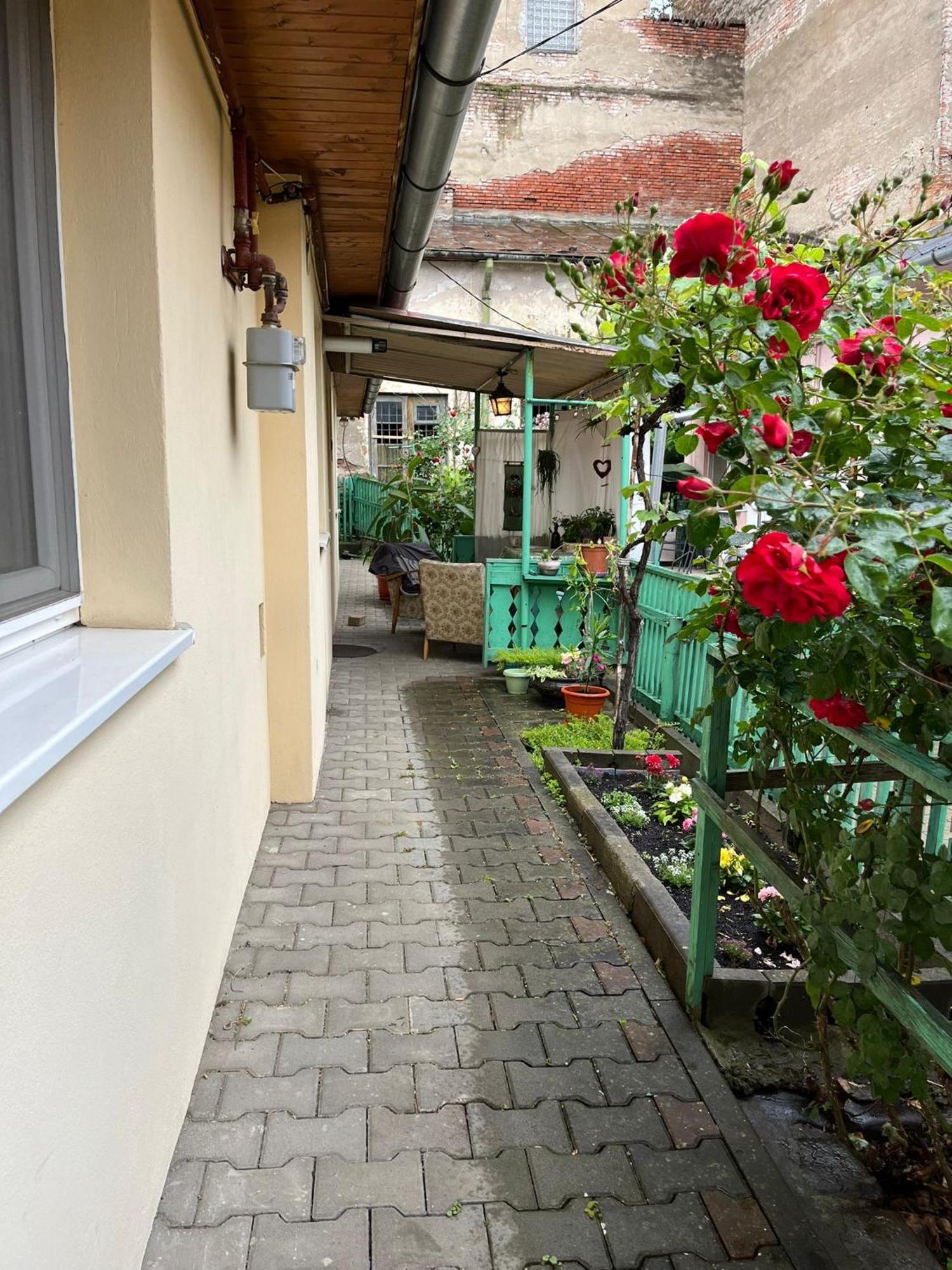 Emese Central Vintage Apartment Targu Mures Exterior photo